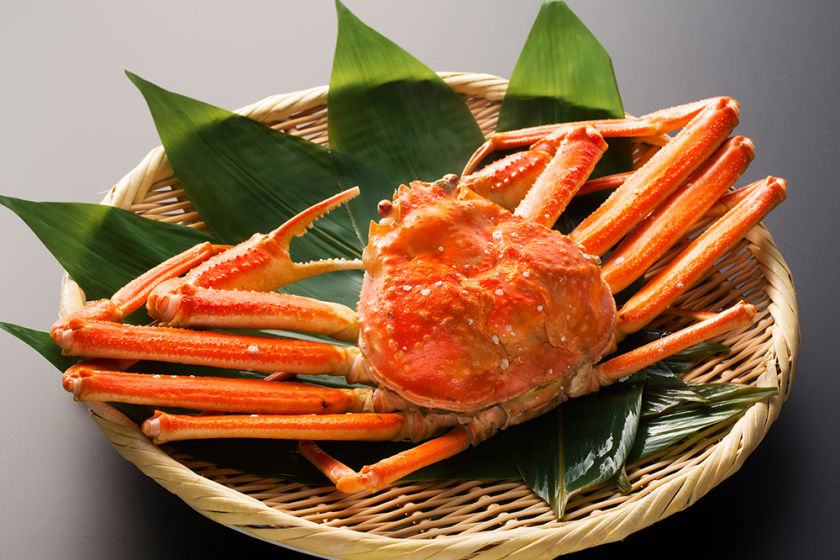 <仅限4月/5月> 两人免费享用雪蟹一碗☆ 美味的晚餐，升级的特别套餐，您可以享用伊势龙虾、鲍鱼和和牛。