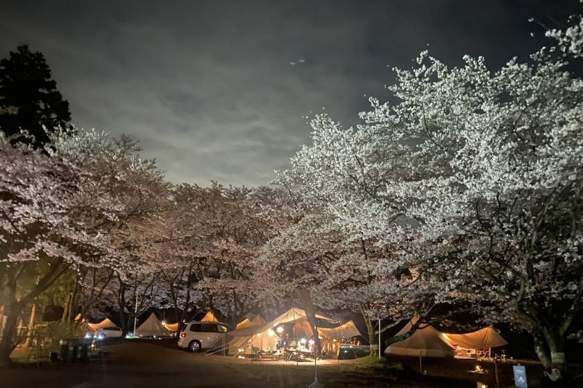 [Saitama Prefecture Resident Discount] [Recommended for active families] Moominvalley Park 1-day pass plan | Glamping Dinner & Morning
