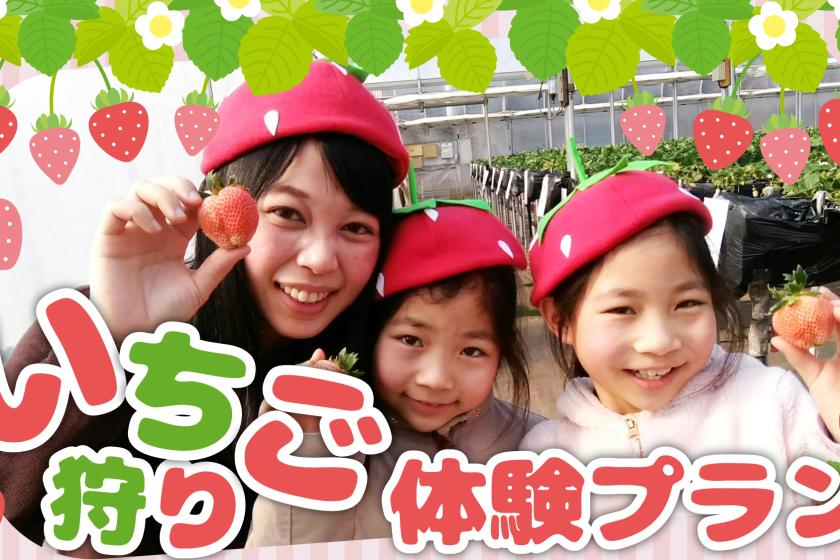 [Family/Couples/Room only] Strawberry picking admission ticket included! Only available this time of year! Strawberry picking experience plan! [Saturdays and Sundays only]