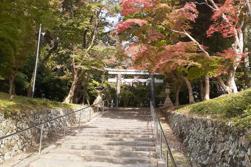 京都西山『秋』のおススメ観光のご案内　1泊2食　バイキングプラン