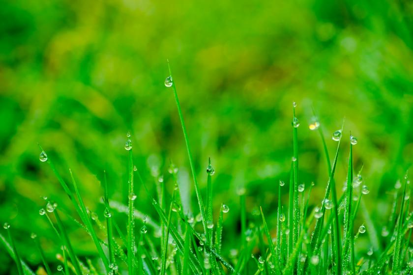 「梅雨割」6−7月はもれなく10%OFF（クーポンコード：RAIN）＊キャンセル・変更不可