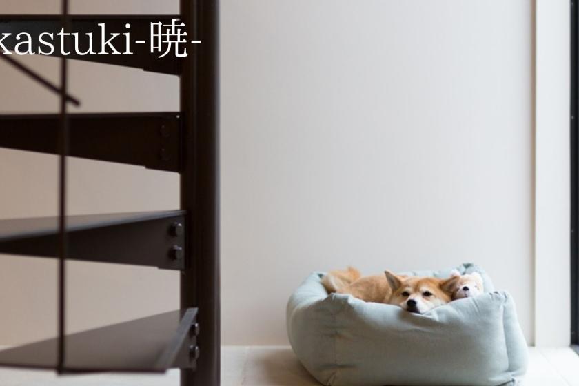 ＜愛犬と泊まれる＞【春の直割20％OFF】スタンダードプラン～五感で楽しむ葉山～【レイトアウト付】