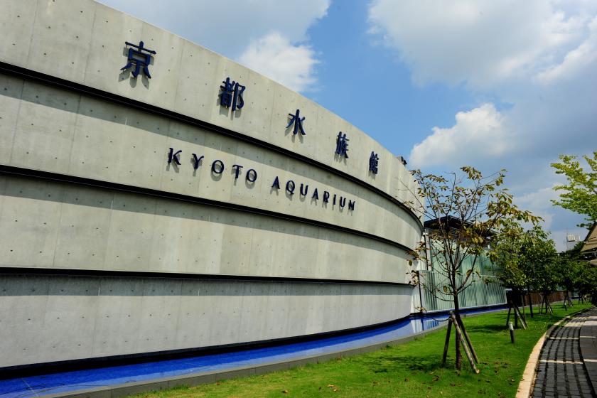 ~Let's go see the creatures at Kyoto Aquarium~Plan with admission ticket to Kyoto Aquarium and Observation Deck~Meals not included~
