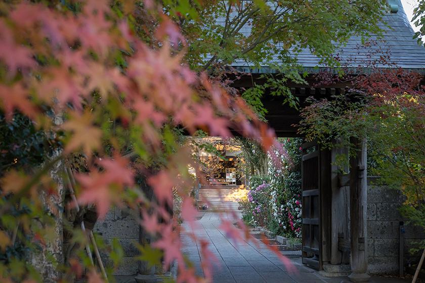 【素泊3連泊以上プラン】じっくりほどき澄ます旅♪＜2泊目以降30％OFF＞＜会員7％OFF＞