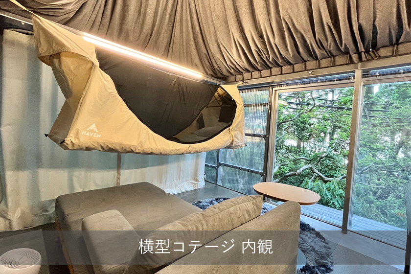 Basic Stay 【予約時決済プラン】空に浮かぶような、森の中での贅沢な滞在を。