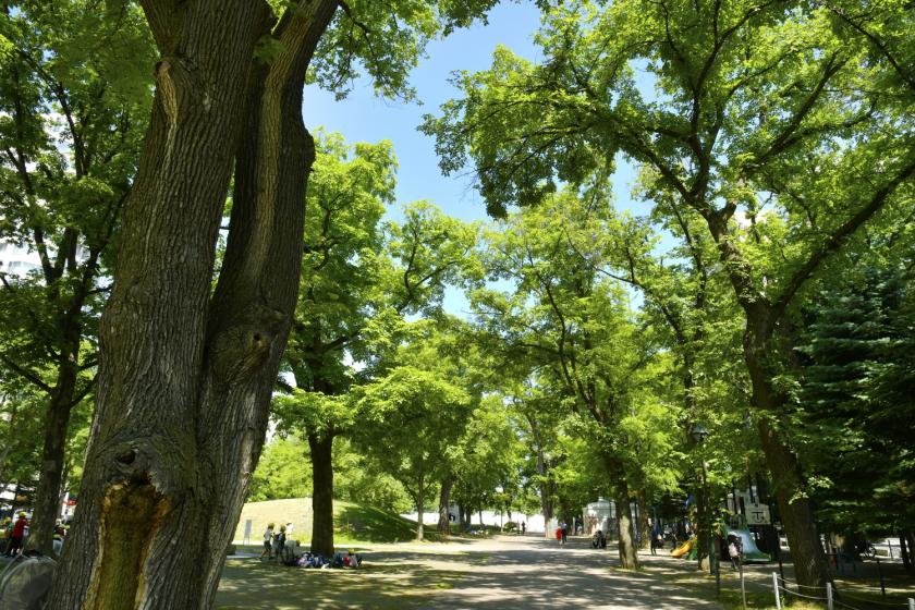 【パークサイドステイ】自慢の朝食ブッフェを堪能～大通公園側客室確約～＜朝食付＞