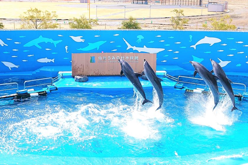 【仙台の人気スポット】仙台うみの杜水族館の入館チケット付きプラン