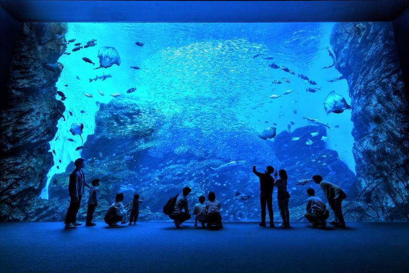 【仙台の人気スポット】仙台うみの杜水族館の入館チケット付きプラン