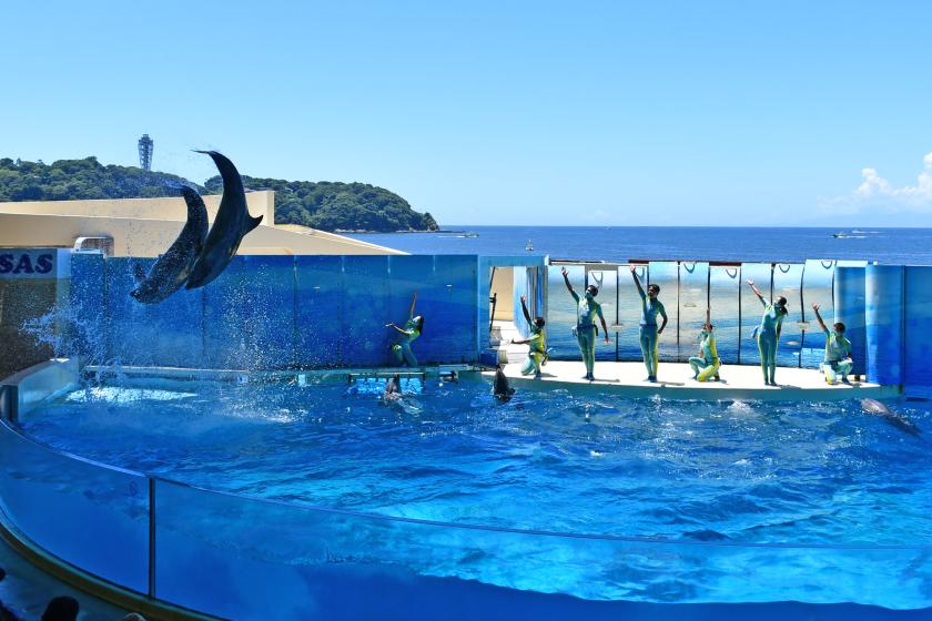 【新江ノ島水族館入館チケット付】幻想的な癒し空間で楽しむ湘南旅【朝食ビュッフェ無料】