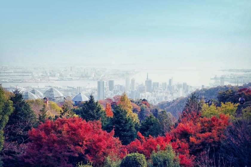 【紅葉を楽しむのんびり旅】神戸布引ハーブ園・ロープウェイチケット付（朝食付）