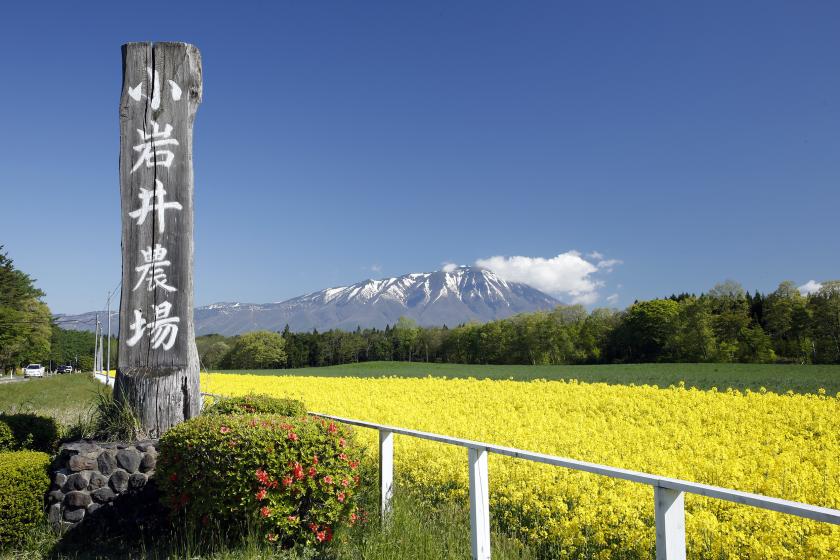 【朝食付】＜秋は短し　旅せよ岩手＞ 岩手銀行赤レンガ館と小岩井農場4時間コース