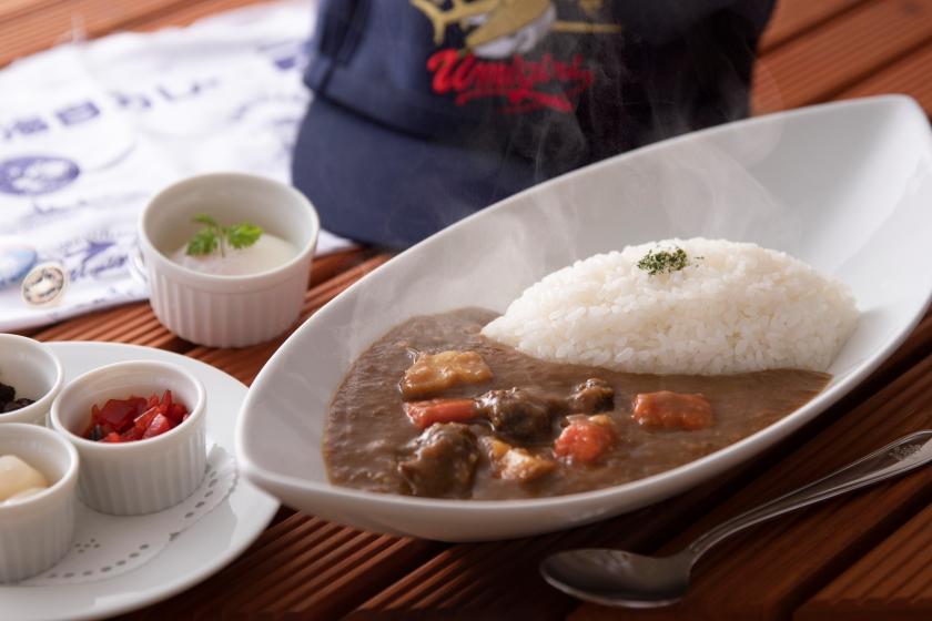 【2024 呉海自カレー】護衛艦「うみぎり」料理長直伝！ 海自カレーチケット＆朝食付