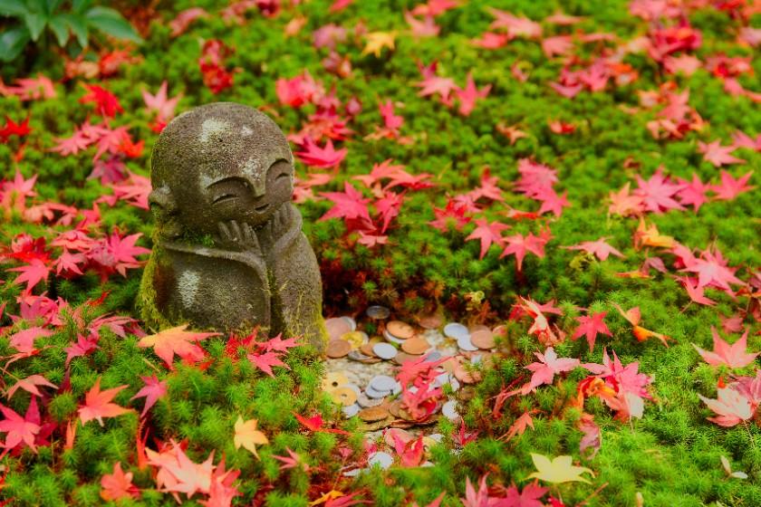 【公式HP限定】9月～10月のお日にち限定　初秋から秋晴の京の旅　‐食事なし‐