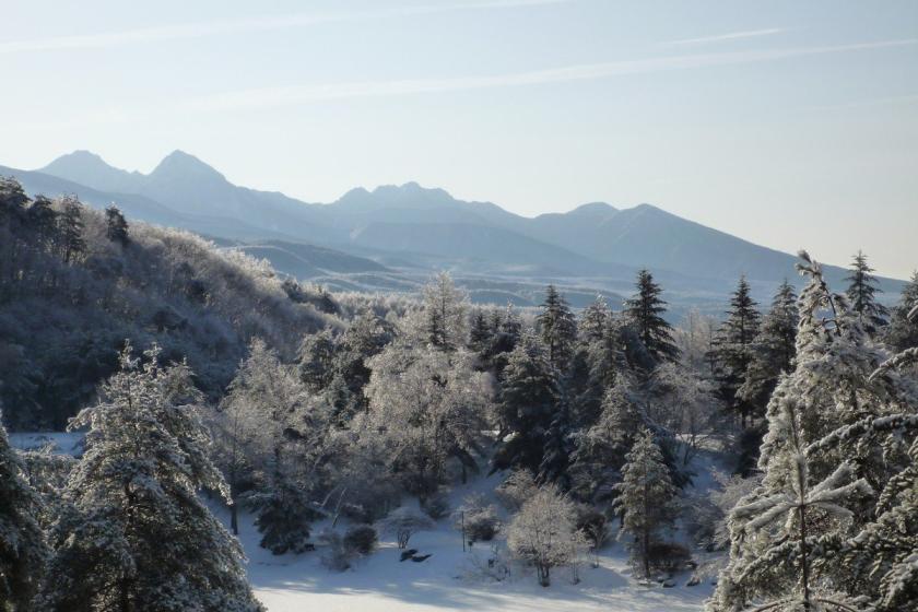 【蓼科東急スキー場リフト1日券付】親子で楽しめる冬の蓼科リフト券付きプラン＜2食付＞《夕食前半》
