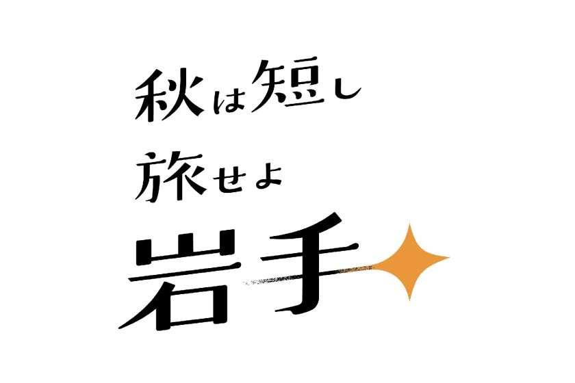 【朝食・昼食付】盛岡～宮古間　往復106特急･急行バスで行く！＜遊覧船宮古うみねこ丸とランチコース＞