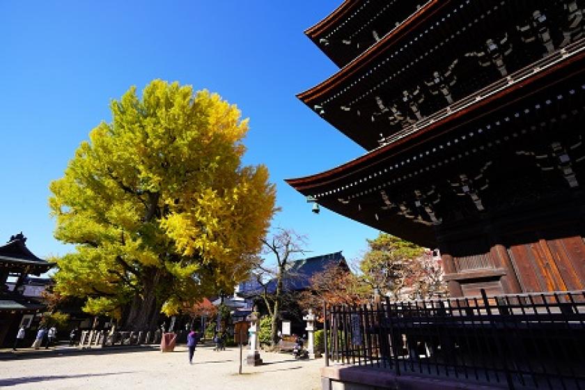 [Official website] [1 night stay with breakfast] Hida Takayama activity plan Old Merchant House Machiya Visit Tour