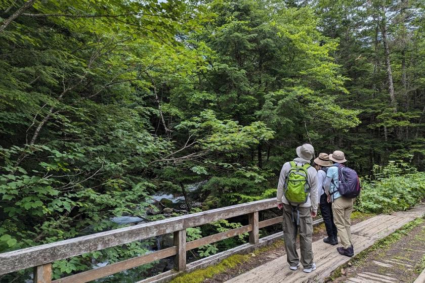 【公式ホームページ】【1泊朝食】飛騨高山のアクティビティ付きプラン Mt Norikura Day Hiking Tour 