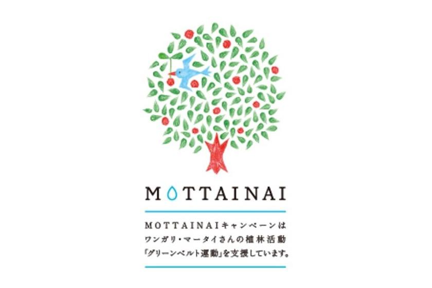 MOTTAINAIから始める！～10本の植樹を叶えるグリーンベルト運動～SDGsプラン［食事なし］