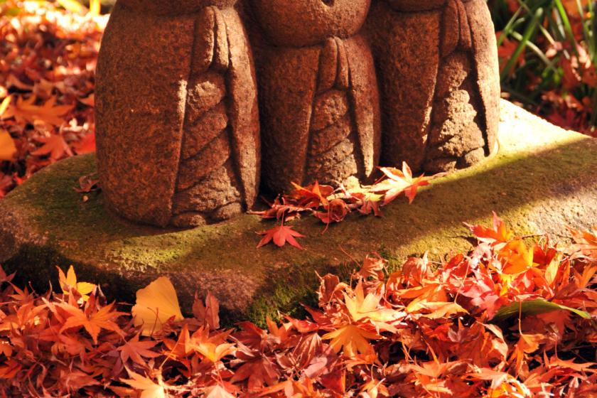 【暢遊鎌倉寺廟神社】含長谷寺門票的住宿方案～不含餐的房間～