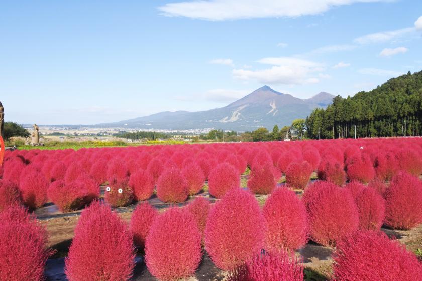 【秋の収穫祭】東北福島の名物料理を堪能!夕朝食ビュッフェプラン