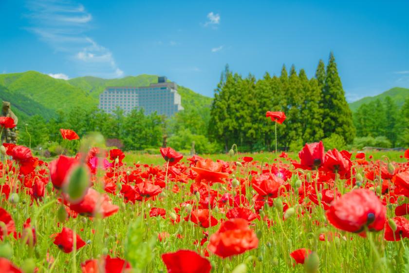 【平日限定】花かご御膳と季節の花々で猪苗代の絶景を堪能。 大人のリゾートステイ満喫プラン