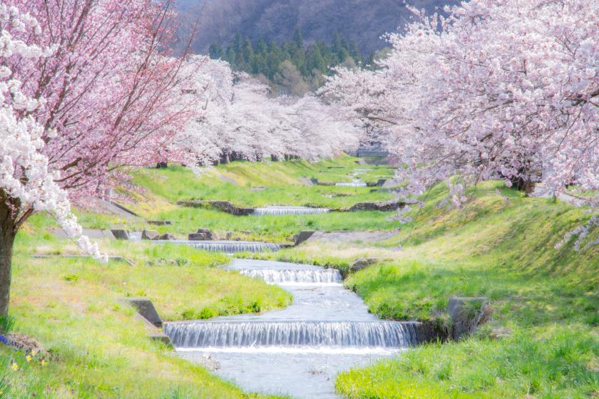 【春の平日限定】花かご御膳で猪苗代の春を堪能。 大人のリゾートステイ満喫プラン