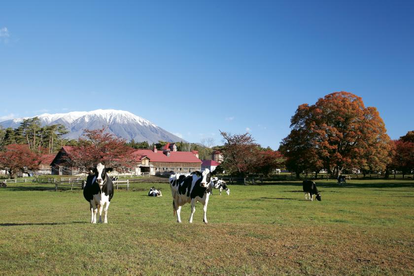 【朝食付】＜秋は短し　旅せよ岩手＞ 岩手銀行赤レンガ館と小岩井農場4時間コース