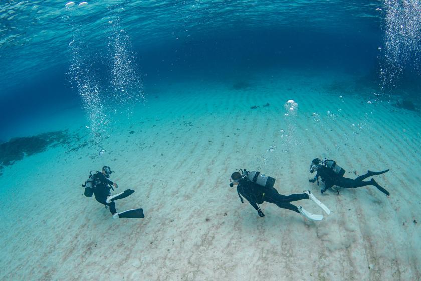 【体験ダイビング】【2連泊限定】南国の海を気軽に楽しむ朝食付きプラン