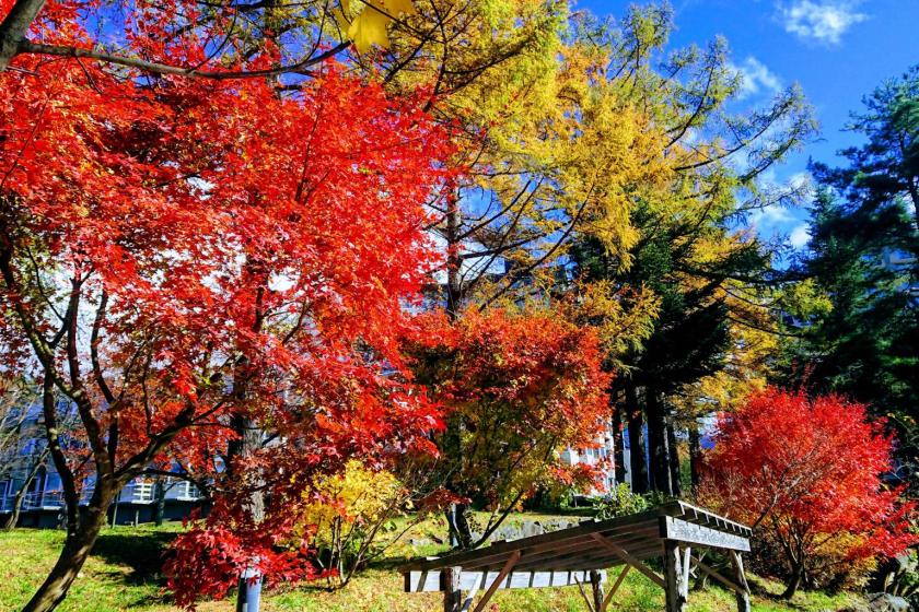 【早期割】《ふくしまプライド。》福島の食材を五感で楽しむ 新鮮食材の宝箱♪ 特製おもてなし膳 1泊2食プラン