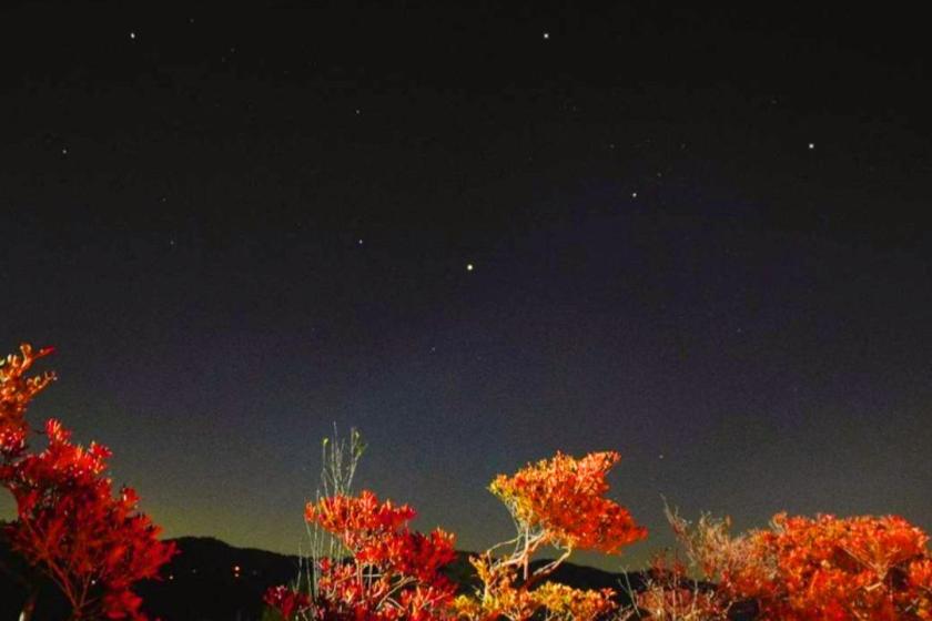 【カシオペア座やペガサス座がお出迎え！】大自然ツアー☆星の鑑賞会☆当館スタッフのガイド付き！