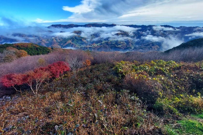 【秩父雲海に一番近い宿】早朝の神秘の世界を見に行こう♪雲海鑑賞プラン