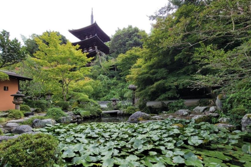 【2月 奈良ホテルプラス】當麻寺　ご案内ツアー付き宿泊プラン ～朝食付～