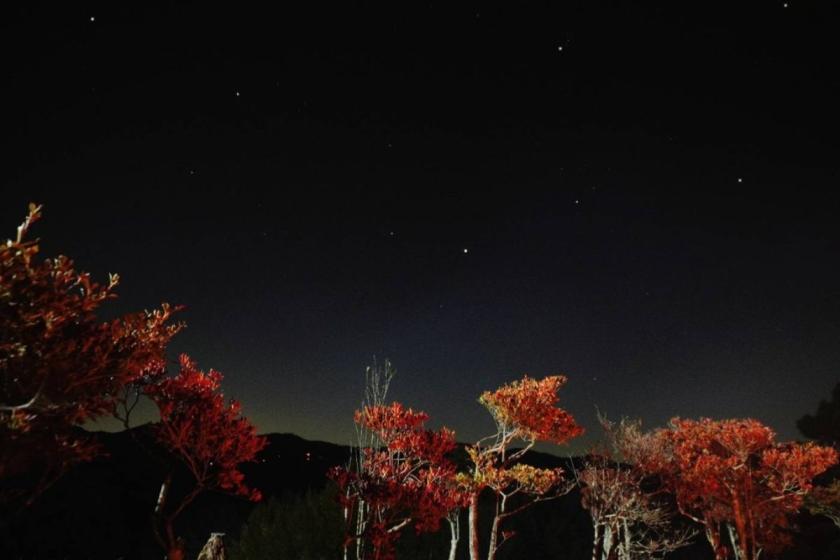 日帰り◆温泉◆和室でお昼寝◆最大10時間滞在◆昼＆夕食お部屋にお届けいたします。