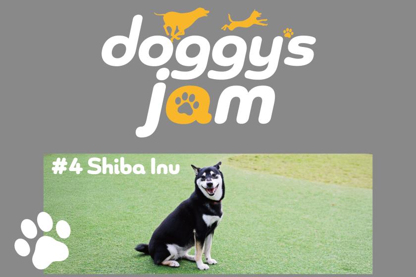 【ドギーズ主催のオフ会♪Doggy's JAM ～柴犬～】2025年1月19日（日）開催！参加費無料+お食事券2000円分プレゼント♪／朝食ブッフェ付き