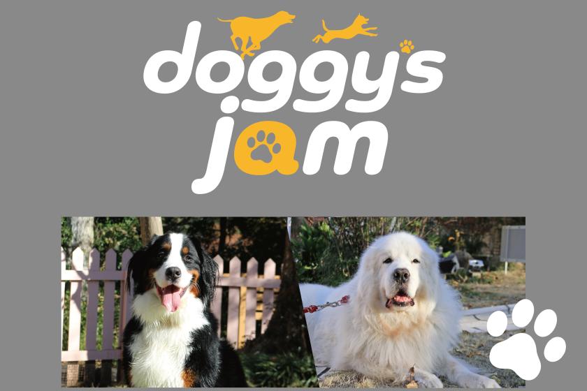 【ドギーズ主催のオフ会♪Doggy's JAM ～バーニーズ＆グレピ～】2025年2月16日（日）開催！参加費無料+お食事券2000円分プレゼント♪／朝食ブッフェ付き