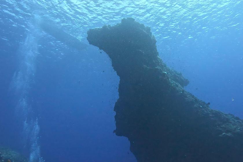 PADI アドバンスオープンウォーター　ライセンス取得