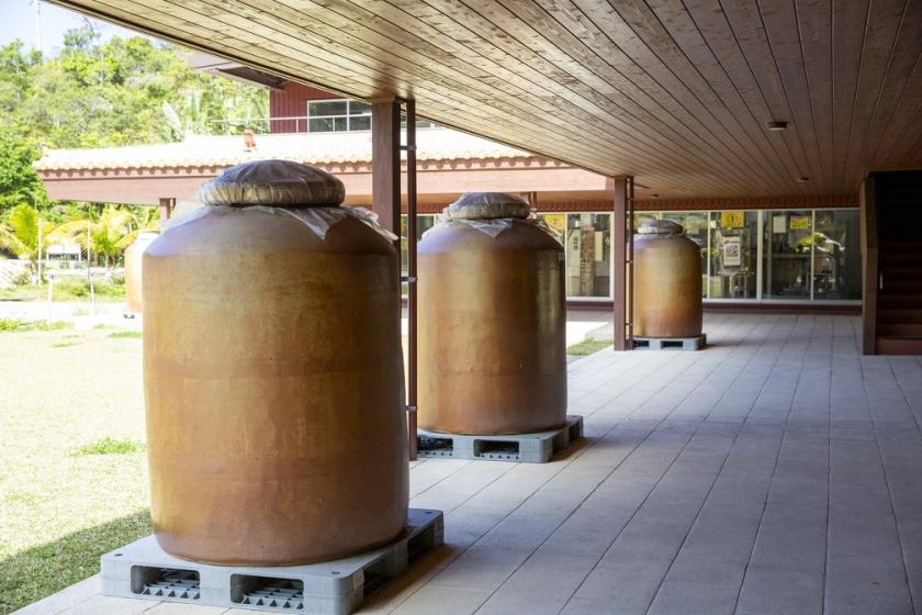 [Commemorating the registration of "Traditional Sake Brewing" as a UNESCO Intangible Cultural Heritage] Tour of the long-established sake brewery, Sakimoto Sake Brewery. Travel back in time to the good old days of Okinawa! ◆Ryukyu Mura admission ticket in