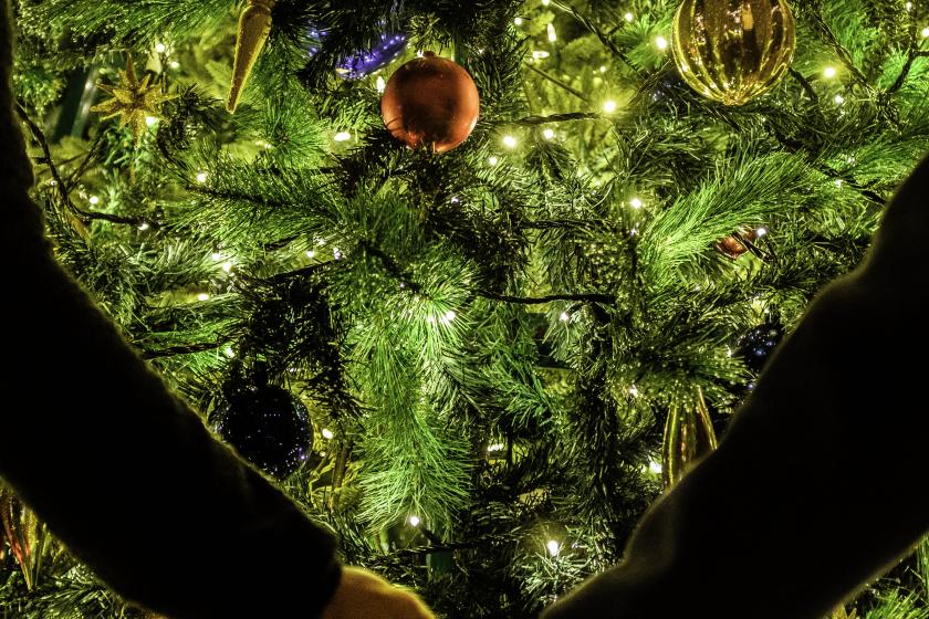 【1泊2食付】プライベート空間で冬の味覚を楽しむ鉄板焼き｜アーリークリスマス2025 15000円