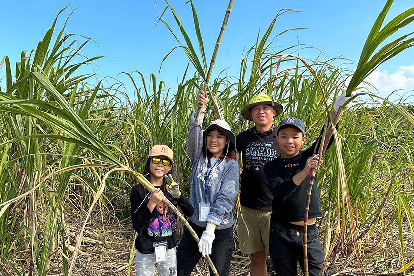 【沖縄文化体験】ローカルスタッフと行くさとうきび収穫＆黒糖作り♪大人からお子様まで楽しめる畑人（ハルサー）体験ご招待＜2泊～＞ 