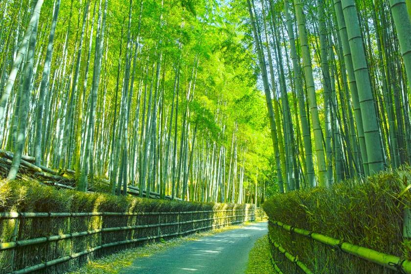 【食事なし】都会の喧騒を忘れ、非日常の時間と心地よいひとときを