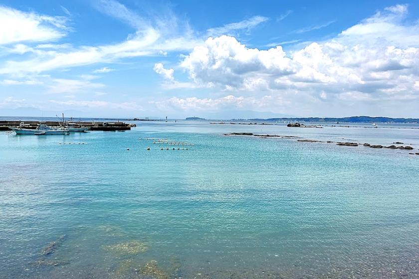 ＜愛犬と泊まれる＞春旅特別プラン！葉山公園でピクニック＆チェキで残す春の思い出【朝食BOX・タントテンポのジュース付】