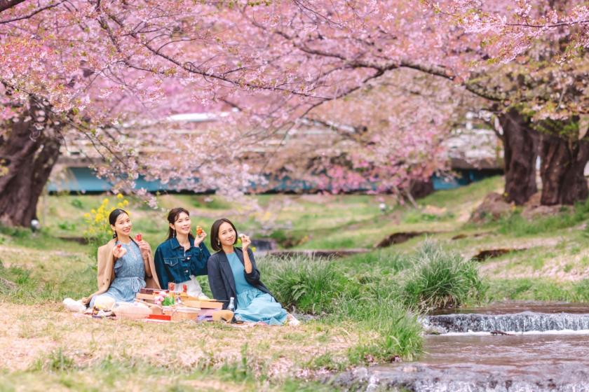 【猪苗代桜紀行】 観音寺川の桜まつり《リステル屋台割引券付》バイキングプラン