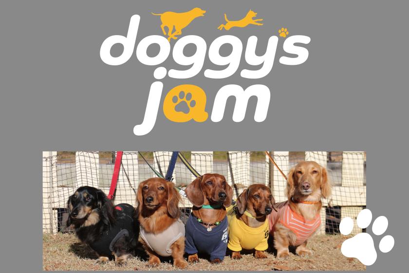 【ドギーズ主催のオフ会♪Doggy's JAM ～ダックス～】2025年3月9日（日）開催！参加費無料+お食事券2000円分プレゼント♪／朝食ブッフェ付き