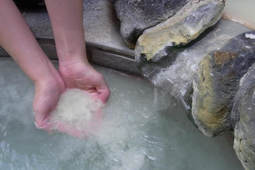 [Official Web site only!] Standard Japanese style room / Private use outdoor hot spring is included / Breakfast is optional