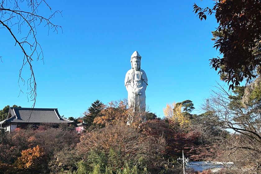 【朝食付】祈りのひと筆で支える高崎白衣大観音 ~ 写経体験と再建支援金付き宿泊プラン~