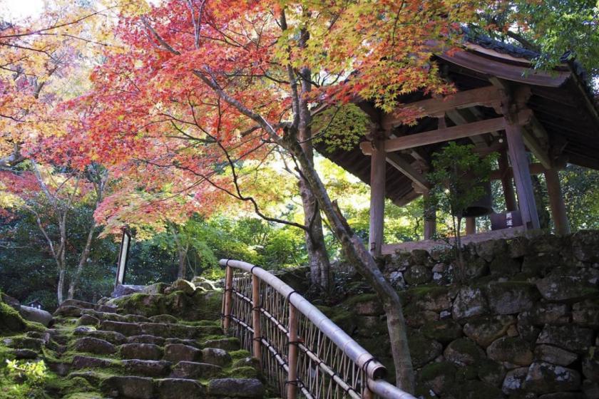 【愛犬と共にびわ湖の眺めを愉しむプラン】～滋賀の食材を使用した和食会席をお部屋食にて～　2026年5月31日迄