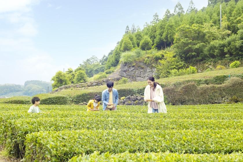【夕食なし・朝食付】観光にもビジネスにも♪遅いチェックインでもOK 1泊基本バイキング朝食付