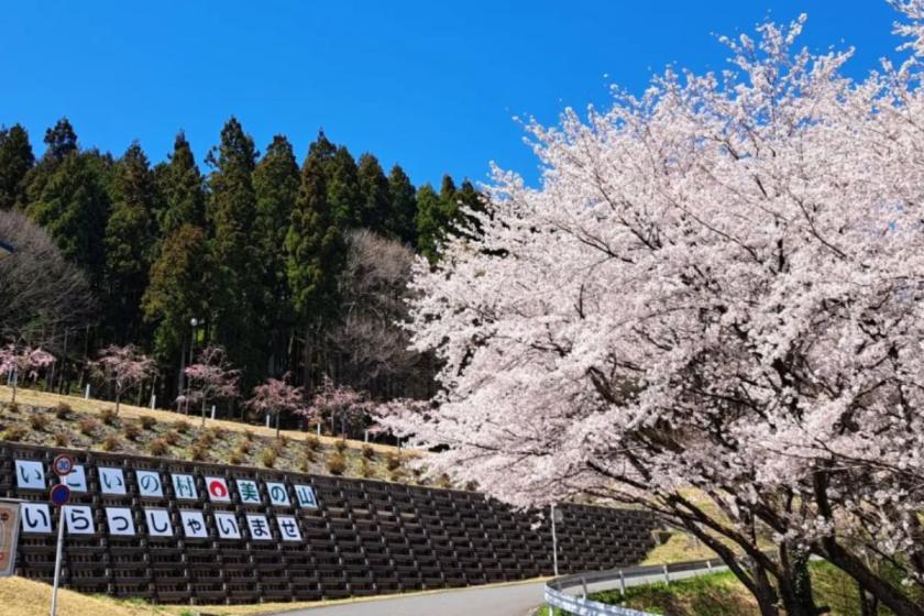 【素泊まりプラン】展望大浴場でゆったり、和室でのんびりおきらく旅！