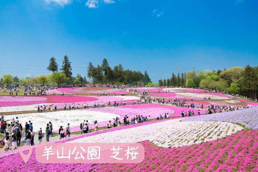 【素泊まりプラン】展望大浴場でゆったり、和室でのんびりおきらく旅！