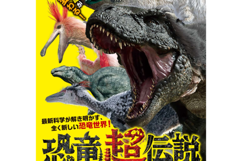 【11:00～】※恐竜キャンプ専用※フリーサイト（Fサイト／電源なし）